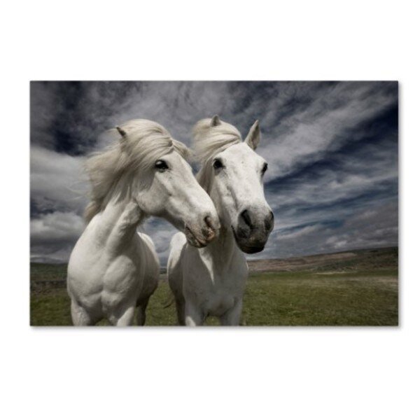 Bragi Ingibergsson 'Inseparables' Canvas Art, 22x32, Trademark Fine Art, Mfr#: 1X00129-C2232GG